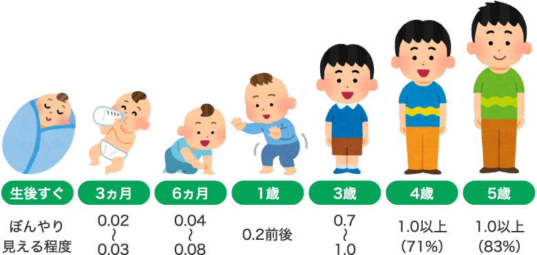 小児の弱視と視機能発達｜医学、薬学、看護